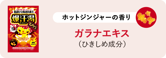 ホットジンジャーの香り ガラナエキス（ひきしめ成分）