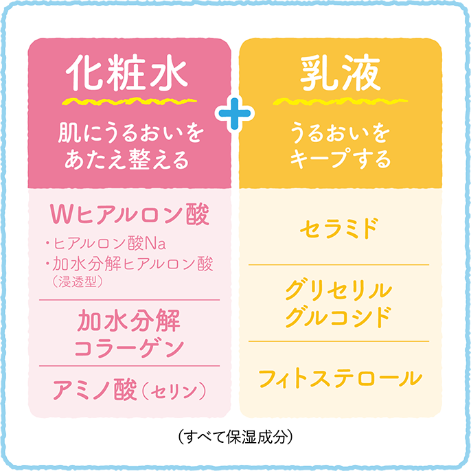 【化粧水】肌にうるおいをあたえ整える + 【乳液】うるおいをキープする